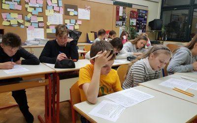 Результаты конкурса «Русский медвежонок – языкознание для всех»  по Словении